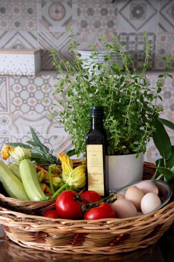 Scacciapensieri Guest House 아레초 외부 사진